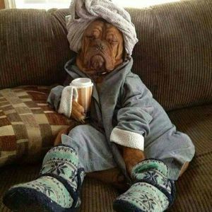 Meet your Posher, Linda